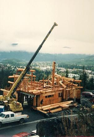 Crane lifts in the over 400 year old giant red cedar main post .